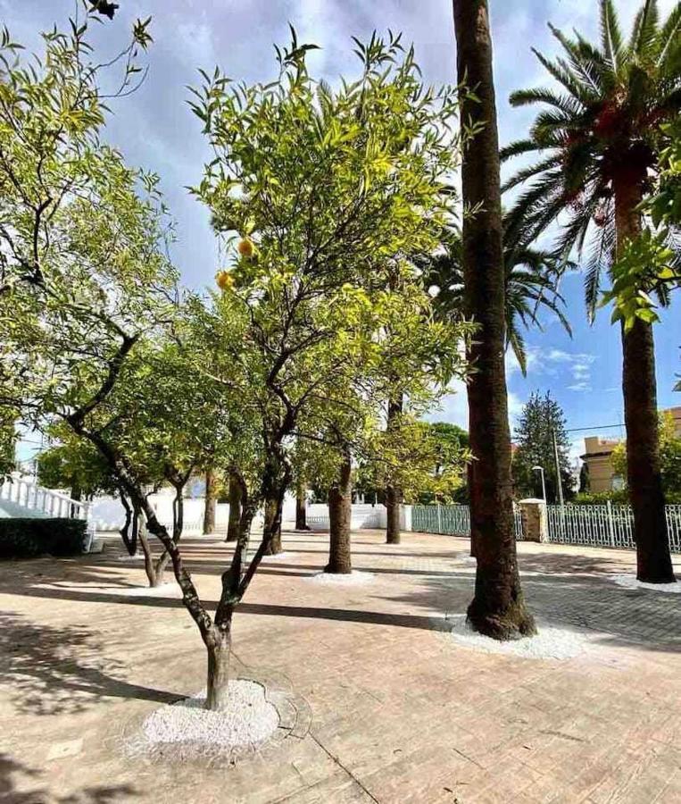 Nuevo Los Almendros 202 Complejo Turistico Apartment